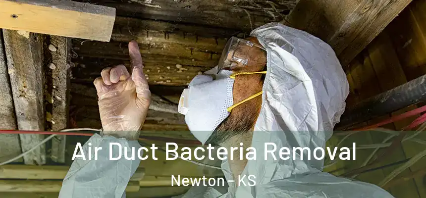  Air Duct Bacteria Removal Newton - KS