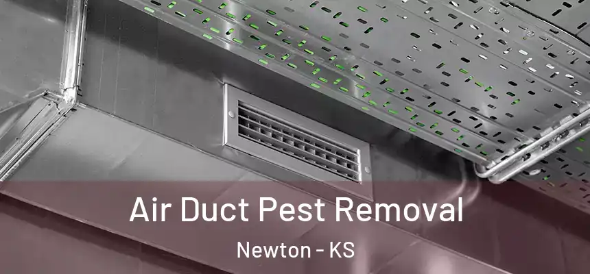  Air Duct Pest Removal Newton - KS