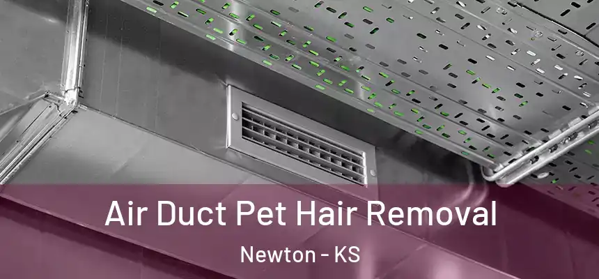  Air Duct Pet Hair Removal Newton - KS