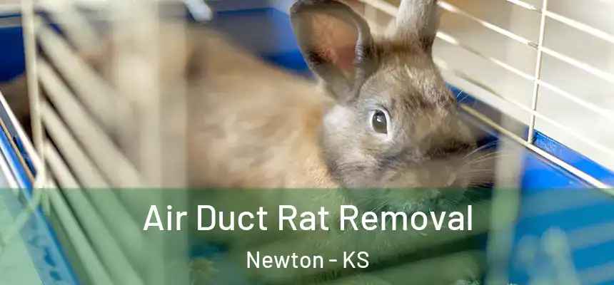  Air Duct Rat Removal Newton - KS
