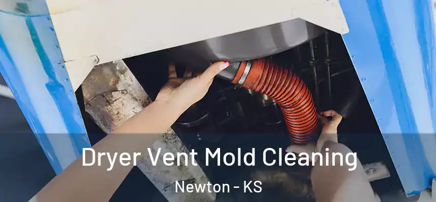  Dryer Vent Mold Cleaning Newton - KS