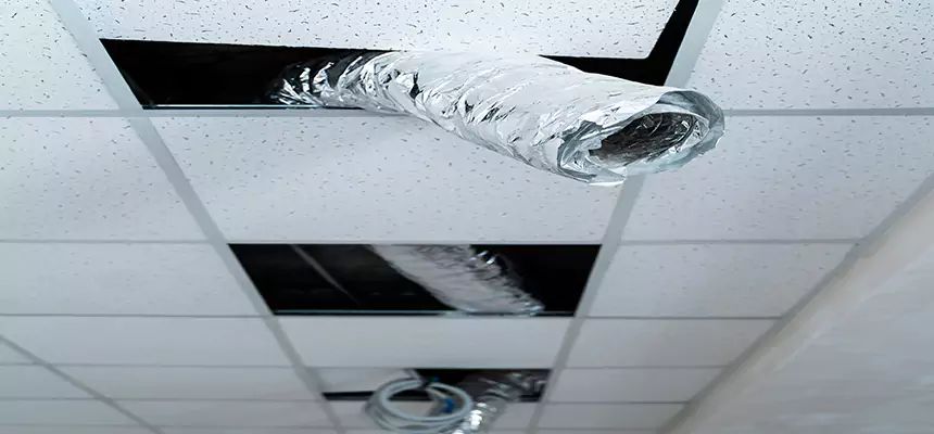 Our Air Duct Pet Hair Removal Services in Newton, KS