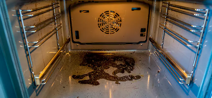 Our Dryer Vent Mold Cleaning Services in Newton, KS