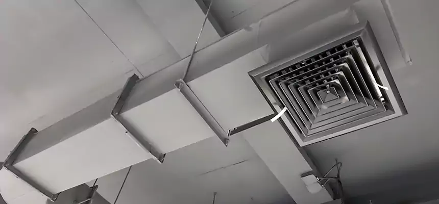 Our Pest Removal From Ducts Services in Newton, KS