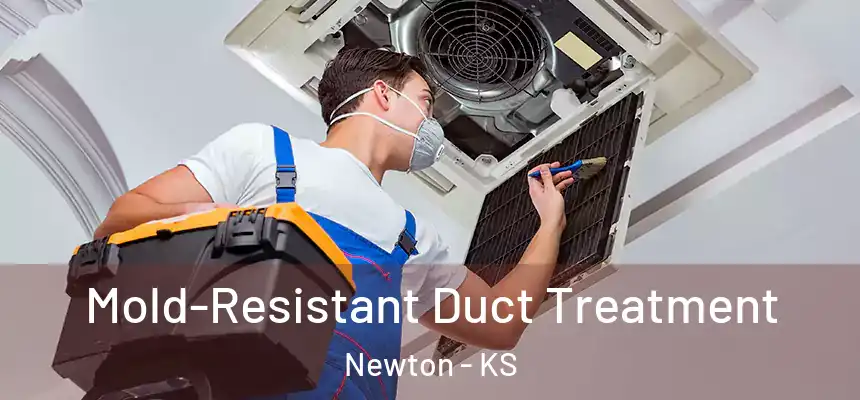  Mold-Resistant Duct Treatment Newton - KS