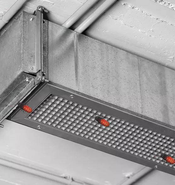 About Air Duct Cockroach Removal in Newton, KS