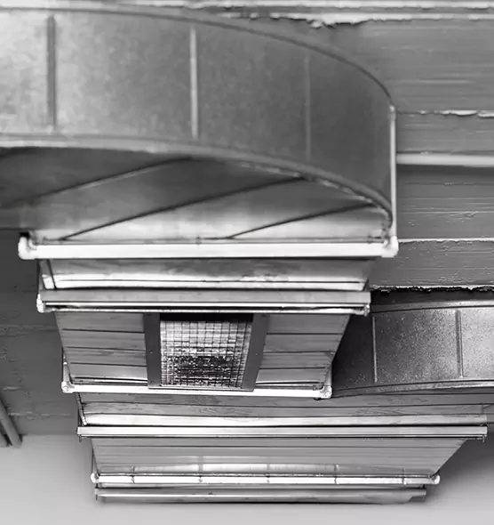 Professional Air Duct Pest Removal in Newton, KS