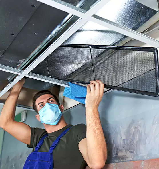 Professional Air Duct Pollen Cleaning in Newton, KS