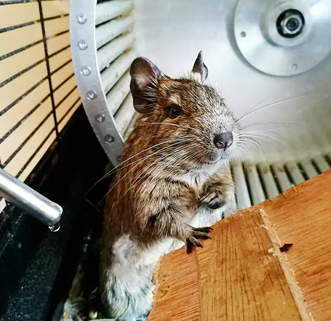 Why Homeowners & Businesses Trust Us Newton, KS?